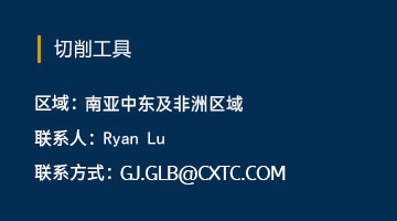 南亚中东及非洲区域 Ryan Lu 南亚中东及非洲区域 Ryan Lu